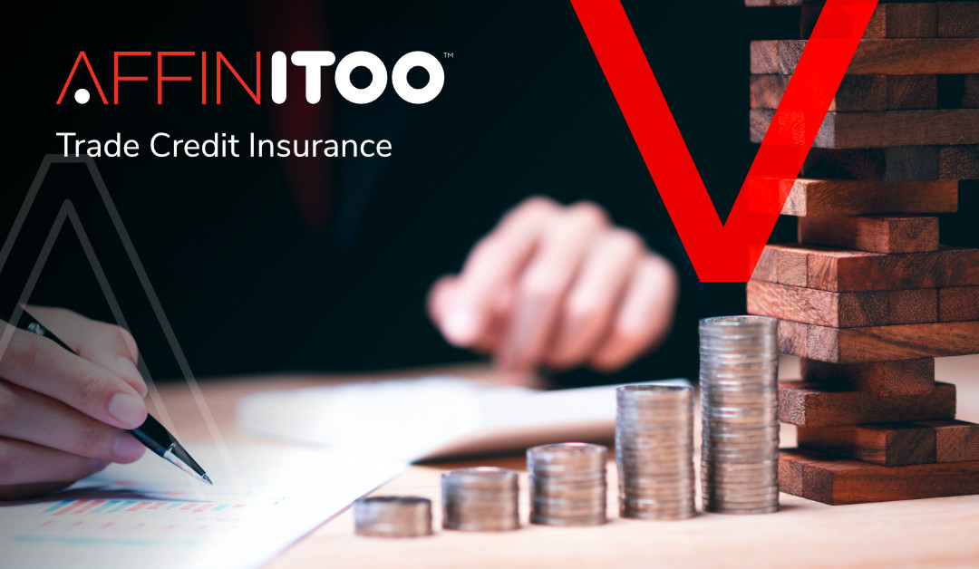Credit Insurance Graphics Trade Credit Insurance - Affinitoo